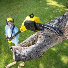 Best Lawn Mowing  in Rosedale, CA